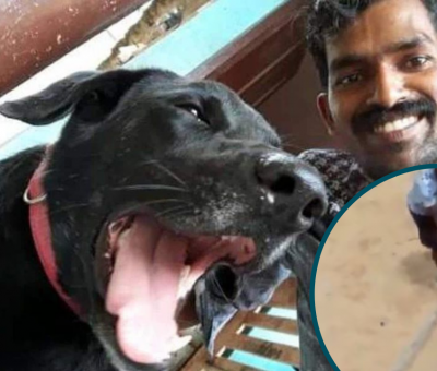 Justice For Bruno: Dog Brutally Beaten to Death by 3 Youths in Kerala, India.